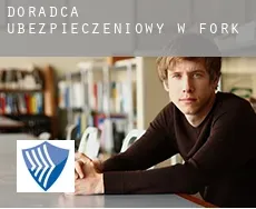 Doradca ubezpieczeniowy w  Fork