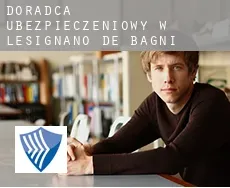Doradca ubezpieczeniowy w  Lesignano de' Bagni
