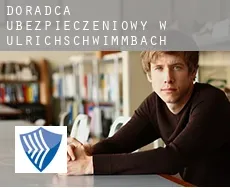 Doradca ubezpieczeniowy w  Ulrichschwimmbach
