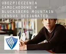 Ubezpieczenia samochodowe w  Blucksberg Mountain