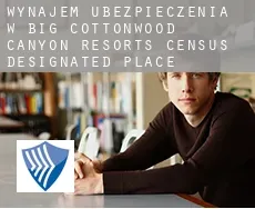 Wynajem ubezpieczenia w  Big Cottonwood Canyon Resorts