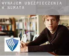 Wynajem ubezpieczenia w  Numata