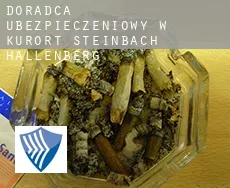 Doradca ubezpieczeniowy w  Kurort Steinbach-Hallenberg