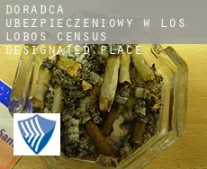 Doradca ubezpieczeniowy w  Los Lobos