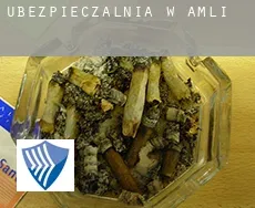 Ubezpieczalnia w  Åmli