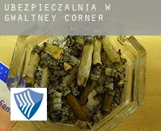 Ubezpieczalnia w  Gwaltney Corner