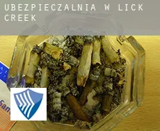 Ubezpieczalnia w  Lick Creek