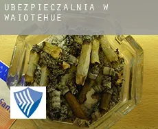 Ubezpieczalnia w  Waiotehue