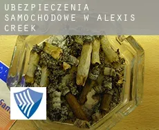 Ubezpieczenia samochodowe w  Alexis Creek