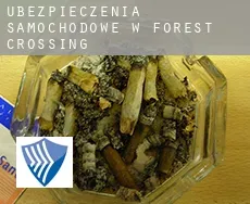 Ubezpieczenia samochodowe w  Forest Crossing