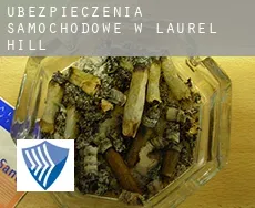 Ubezpieczenia samochodowe w  Laurel Hill