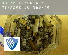 Ubezpieczenia w  Minador do Negrão