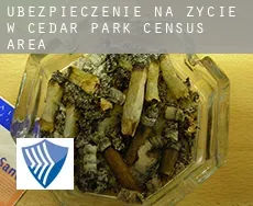 Ubezpieczenie na życie w  Cedar Park (census area)
