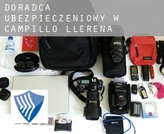 Doradca ubezpieczeniowy w  Campillo de Llerena