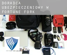 Doradca ubezpieczeniowy w  Fortune Fork