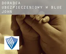 Doradca ubezpieczeniowy w  Blue John
