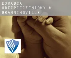 Doradca ubezpieczeniowy w  Branningville
