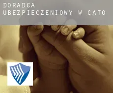 Doradca ubezpieczeniowy w  Cato