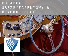 Doradca ubezpieczeniowy w  Beacon Lodge