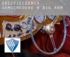 Ubezpieczenia samochodowe w  Big Arm