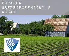 Doradca ubezpieczeniowy w  Assaí