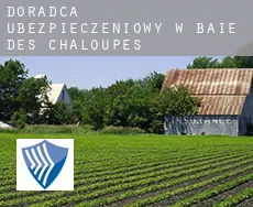 Doradca ubezpieczeniowy w  Baie-des-Chaloupes