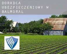 Doradca ubezpieczeniowy w  Balmoral