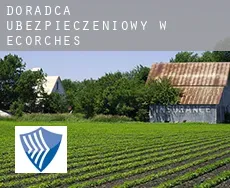 Doradca ubezpieczeniowy w  Écorches