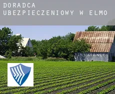 Doradca ubezpieczeniowy w Elmo