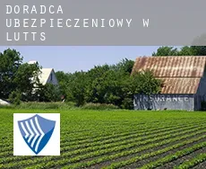 Doradca ubezpieczeniowy w  Lutts