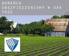 Doradca ubezpieczeniowy w  Oak Tree