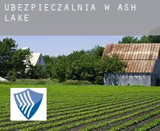 Ubezpieczalnia w  Ash Lake