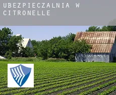 Ubezpieczalnia w  Citronelle