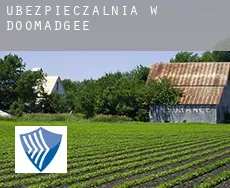 Ubezpieczalnia w  Doomadgee