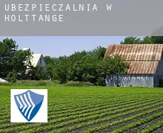Ubezpieczalnia w  Holttange