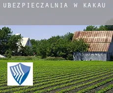 Ubezpieczalnia w  Kakau