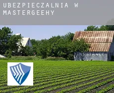 Ubezpieczalnia w  Mastergeehy