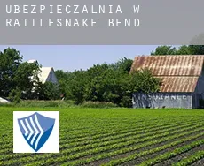 Ubezpieczalnia w  Rattlesnake Bend