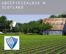 Ubezpieczalnia w  Scotland