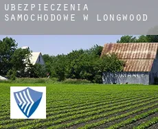 Ubezpieczenia samochodowe w  Longwood