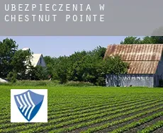 Ubezpieczenia w  Chestnut Pointe