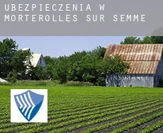 Ubezpieczenia w  Morterolles-sur-Semme