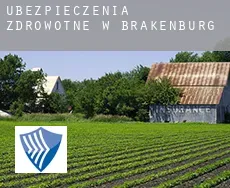Ubezpieczenia zdrowotne w  Brakenburg