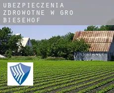 Ubezpieczenia zdrowotne w  Groß Biesehof