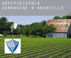 Ubezpieczenia zdrowotne w  Knoxville