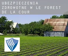 Ubezpieczenia zdrowotne w  Le Forest de la Cour