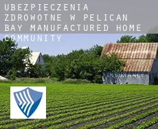 Ubezpieczenia zdrowotne w  Pelican Bay Manufactured Home Community