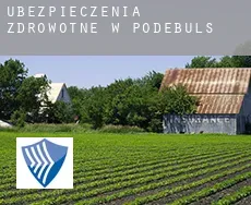 Ubezpieczenia zdrowotne w  Podebuls