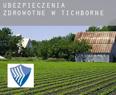 Ubezpieczenia zdrowotne w  Tichborne