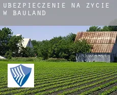 Ubezpieczenie na życie w  Bauland